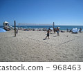 Beach volleyball 968463