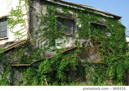 廢棄的房子 968916