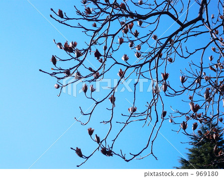 Blue sky and blue sky 969180