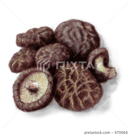 Shiitake mushroom 970068
