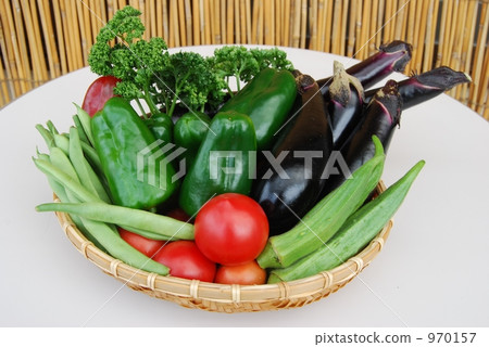 在家庭菜園的菜 970157