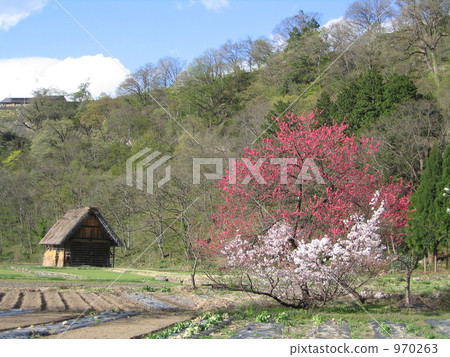 One landscape of Shirakawago 970263