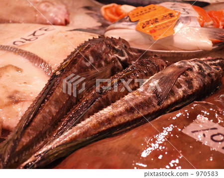 罕見的魚，八角形☆ 970583