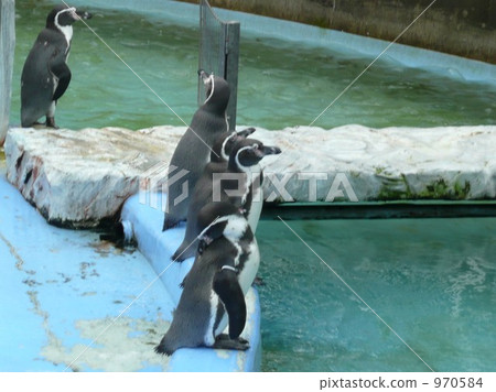 stand in a row, in a row, row 970584