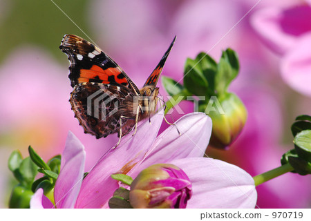 紅海軍上將 970719