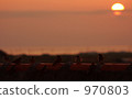 Sparrow and sunset 970803