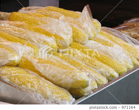 Friul的節日煮米糕 Friul的節日煮米糕 971164