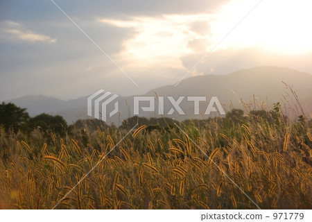 秋天風景在鄉下 971779