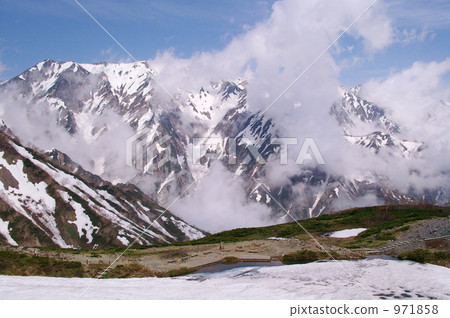 初夏的白馬池塘 971858