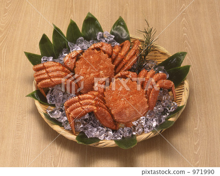 兩頭髮螃蟹 971990