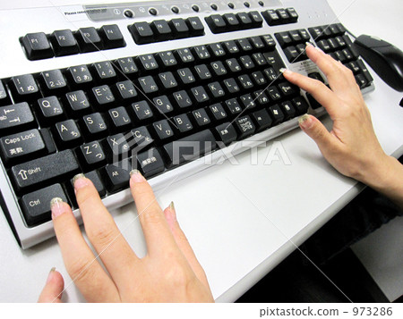 Women's typing typing Women's typing typing 973286