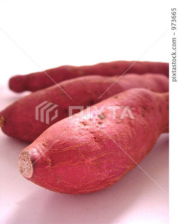 red violet, sweet potato, taro 973665