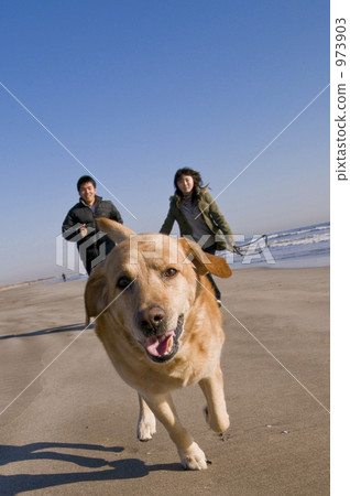 跑狗 跑狗 973903