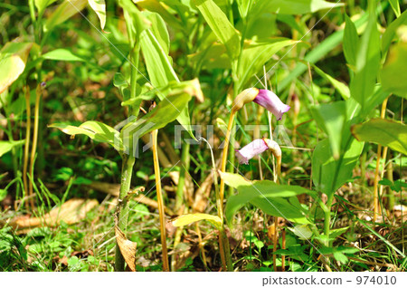 Nambangel ~ Ideas Nambangel ~ Ideas 974010