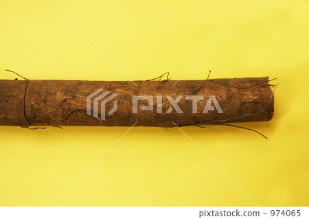 Root Vegetables, great burdock, burdock root 974065