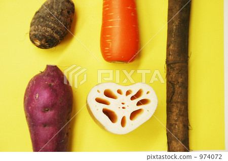 Autumn vegetables arranged side by side 974072