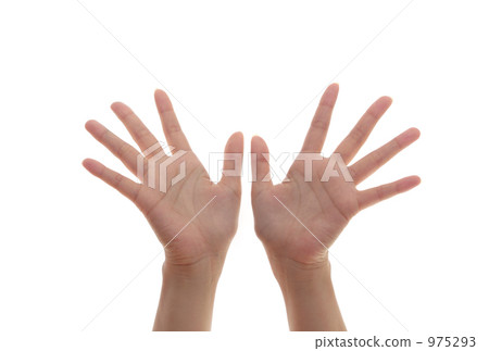 hand hand 975293