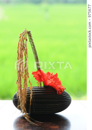 Restaurants in Rice Terrace in Bali Restaurants in Rice Terrace in Bali 975677