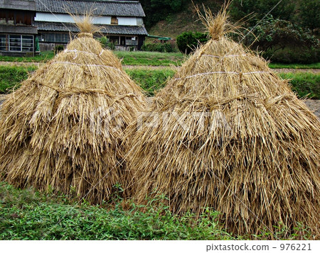 Stacked straw 976221