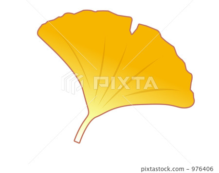 Ginkgo Leaf, dead leaves, ginkgo 976406