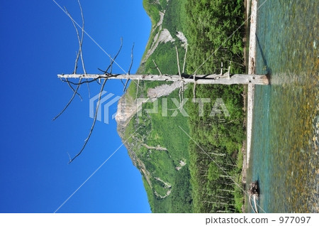 死樹和Yakedake 977097