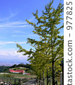 Early autumn farm 977825