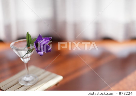 Interior Interior 978224