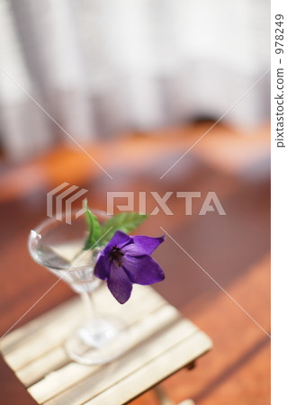 Interior Interior 978249