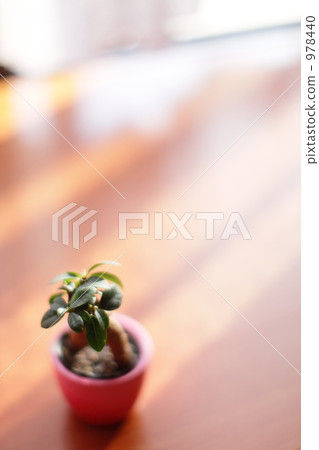 Interior Interior 978440