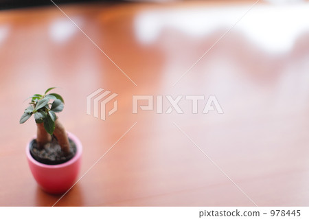 Interior Interior 978445