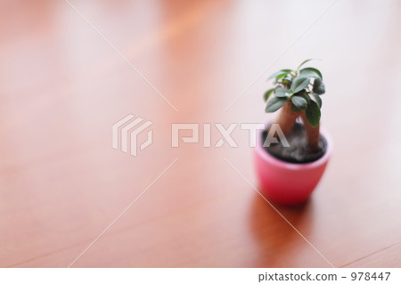 Interior Interior 978447