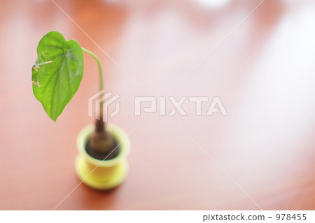 Interior Interior 978455