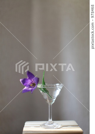 Interior Interior 978468