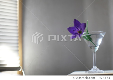 Interior Interior 978473