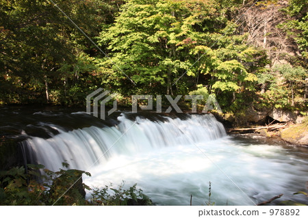 Sakura Waterfall Sakura Waterfall 978892