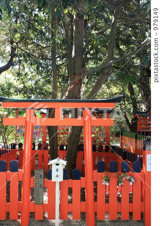 Kaidokujin神社的明智的樹 979149