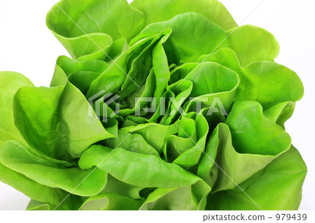 Salad cheese 979439