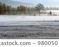 Morning mist Odashiro 980050