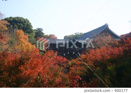 Tofukuji Temple bridge 980177