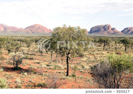 遙遠的觀點Kata Tjuta（搖滾樂隊）@觀點 980827