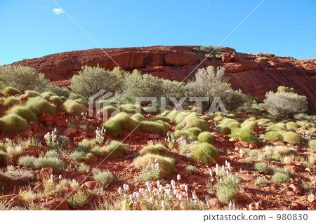 Kata Tjuta 980830