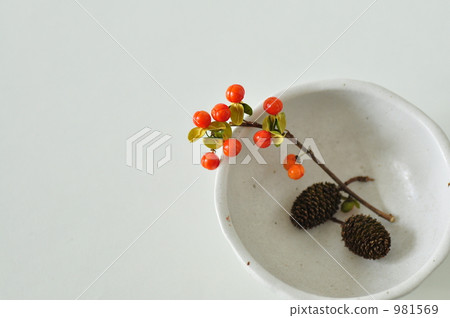 Autumn fruit __ 981569
