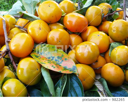 A heap of persimmon A heap of persimmon 982265