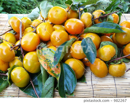 A heap of persimmon A heap of persimmon 982267