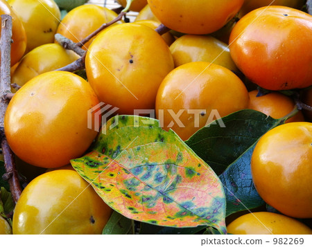 Autumn taste "persimmon" Autumn taste "persimmon" 982269