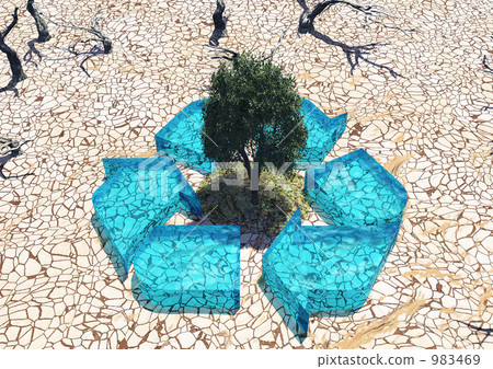 生長在乾燥地面的回收標記保護的綠色樹 983469