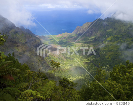 Kalaou Valley on Kauai Kalaou Valley on Kauai 983849