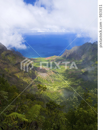 Kalaou Valley on Kauai 983851
