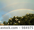 Double rainbow 984975