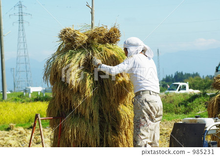 Scenery of pile 985231